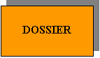 Casella di testo: DOSSIER
